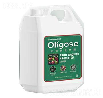 �ɽ�������Ĥ-�T��Ĥ-������