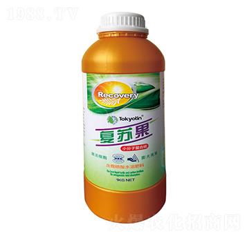 С��������̼-���K��-�����r(n��ng)�I(y��)