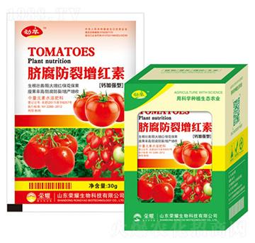 Ě���������t��-����-�sҫ�r(n��ng)�I(y��)