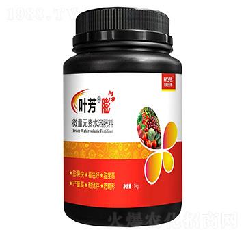 �~����-���(y��ng)����