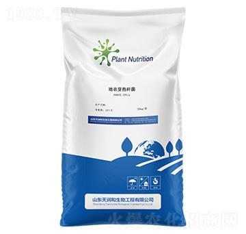 ����ѿ�ߗU�����r�ã�-�읙������