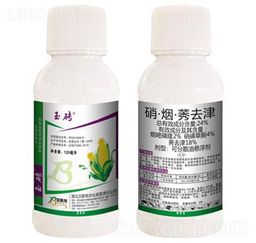 24%��������ݬȥ��-��u-ؐ˹���r��