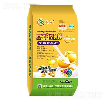 �����נI(y��ng)�B(y��ng)-�����ЙC(j��)��-�ߺ�