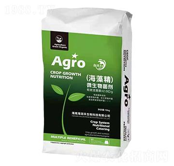 (���徫)΢�������-����(r��n)�S