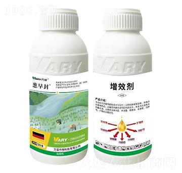 75%���ݰ���������������¡-�[���-�f��