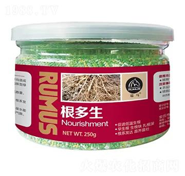 ������-�̶�����