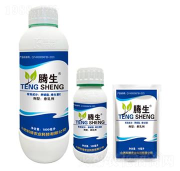 ����֬���S����E-�v��-�õ���