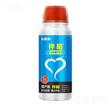 �������a(ch��n)��-�鵾-���p��-��ɽ�p��