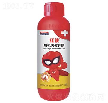 �t�b-����������-�����ʘI(y��)