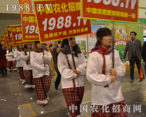 �����r���ˠ��֊Z�뱼��2015���Ϸ����p����