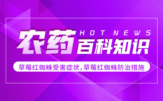 ��ݮ�t֩���ܺ��Y������ݮ�t֩����δ�ʩ