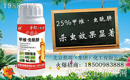 ����������ף������µ�һ�����Ҹ����M���H�Қg����