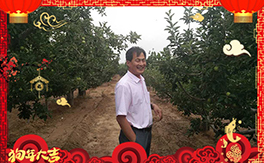 ������ʘI(y��)��ף���Ѻ��¶����Ц�ݶ����