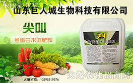 �����˳����ף������µ�һ�������w�����������³����f��������