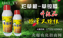 �����K���r(n��ng)��ף������µ�һ���﹤�����������������