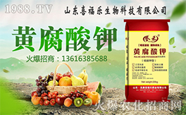 ��ϲ������ף������µ�һ���﹤�����������������