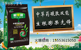 �����u��֮����ףԸһ·�������т����w�������i�꼪����