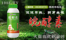 ���пƻ�����ף�������µ�һ�����Ҹ����M���H�Қg��