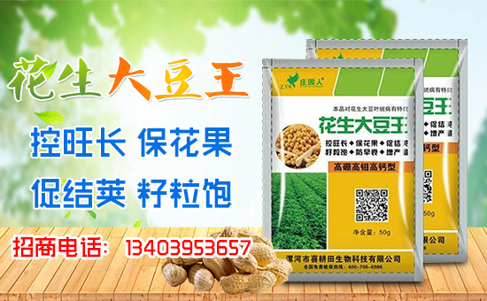 ��ϲ�������ף��(j��ng)�N������A�M�������������������