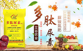 �������r(n��ng)�I(y��)����ף����´��옷�����w�������H���Ҹ����f��������