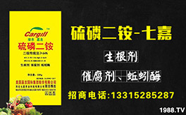 ���߼��r(n��ng)�I(y��)��ף������µ�һ�������w�������f��������