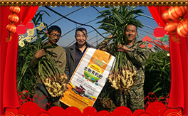 �����¡����ף��λ��(j��ng)�N���������w������ؔԴ�V�M��