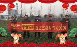 ��(li��n)¡���ʡ�ף������µ�һ�������w�������f(w��n)��������