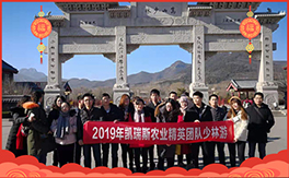 ���P��˹�r(n��ng)�I(y��)��ף������µ�һ�������w���������������