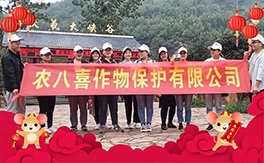 �������r(n��ng)��ϲ��ף�������µ�һ�����_(k��i)������f(w��n)��������