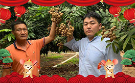 ����Դ�����(zhu��n)ע�VԴ��ֲ�ᣡ��ף��λ��(j��ng)�N(xi��o)�����т�����t����