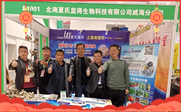 �����������{(l��n)�á���ף���Ͽ͑������д��\(y��n)��ؔ(c��i)Դ�L�L��(l��i)�������³���