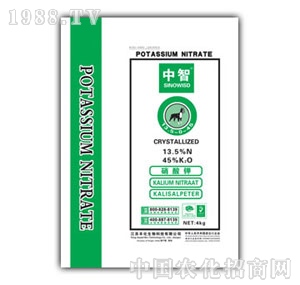 �S��-�M�������