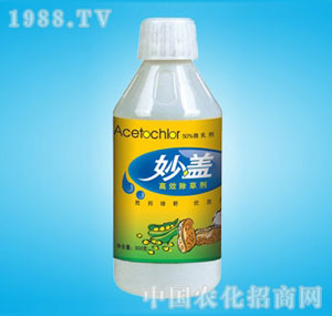 �ٰ�-50%���w