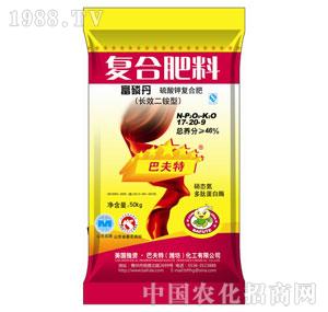 ���׵�17-20-9����棩