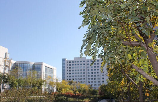 日照海事專修學(xué)院加強(qiáng)校園綠化建設(shè) 創(chuàng)造優(yōu)美育人環(huán)境