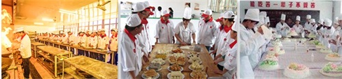 廚師需要學(xué)習(xí)烹飪多少道菜？