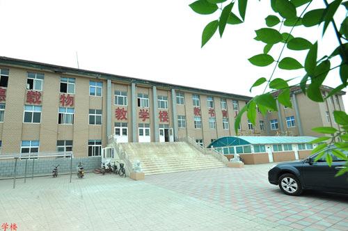 滄州國興職業(yè)技術(shù)學(xué)校開設(shè)了哪些專業(yè)？