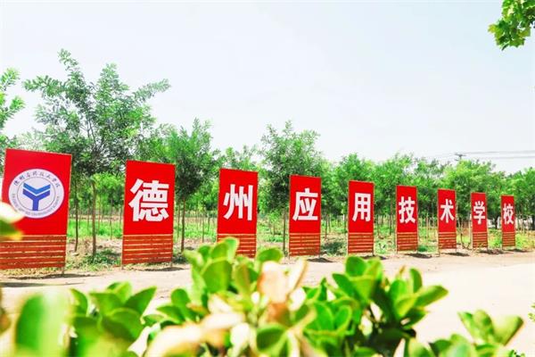 德州電子商務(wù)學校