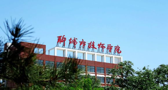 聊城市技師學(xué)院有計(jì)算機(jī)專業(yè)嗎？