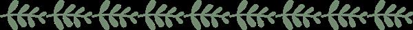 石家莊平安醫(yī)學(xué)中等專業(yè)學(xué)校地址在哪？