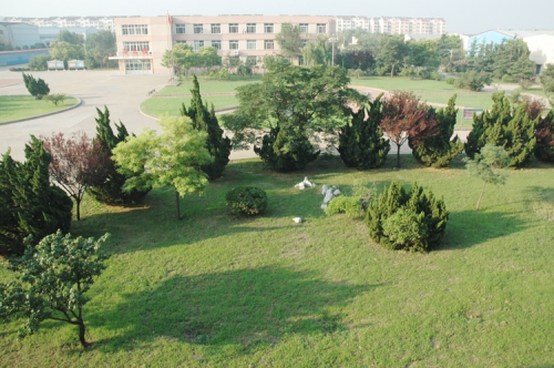 山東龍口礦業(yè)集團高級技工學校老師們教學怎么樣？升學率高嗎？