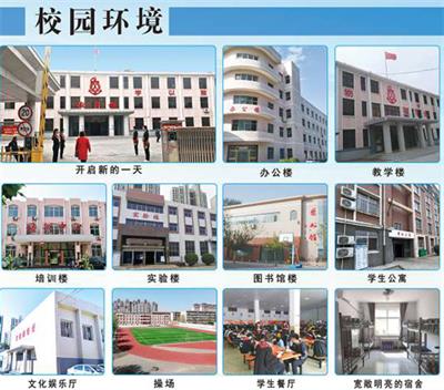 河北省交通職業(yè)技術(shù)學(xué)校有郵輪乘務(wù)管理專業(yè)嗎？  