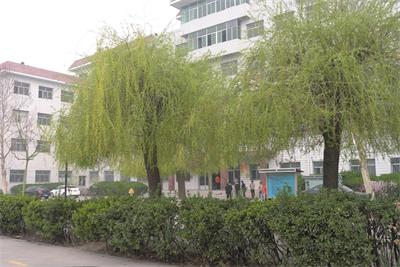 保定哪所正規(guī)的學(xué)校有鐵路專業(yè)？   