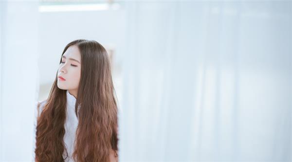 石家莊東方學(xué)院都開(kāi)設(shè)了哪些專(zhuān)業(yè)？