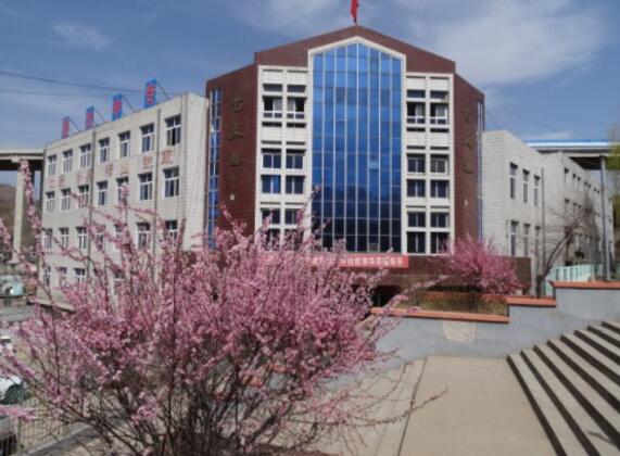 承德通達(dá)中等專業(yè)學(xué)校國際商務(wù)專業(yè)是留學(xué)專業(yè)嗎？