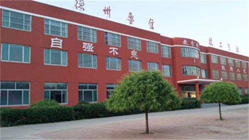 山東德州魯信通懋職業(yè)技工學校就業(yè)情況怎么樣？