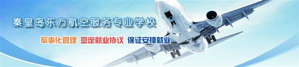 哪所學(xué)校開設(shè)了航空服務(wù)專業(yè)？
