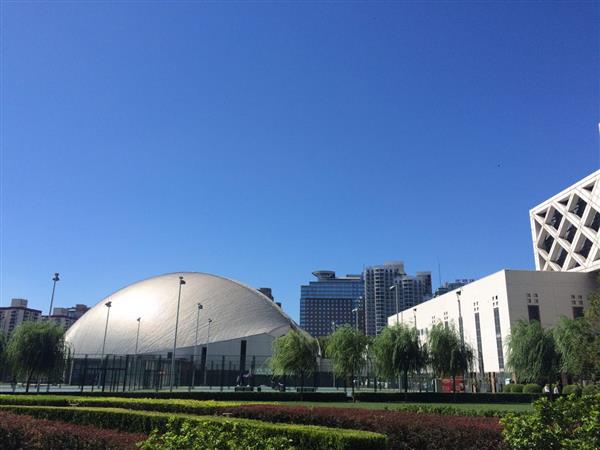 北京國際青年研修學(xué)院都開設(shè)哪些專業(yè)？
