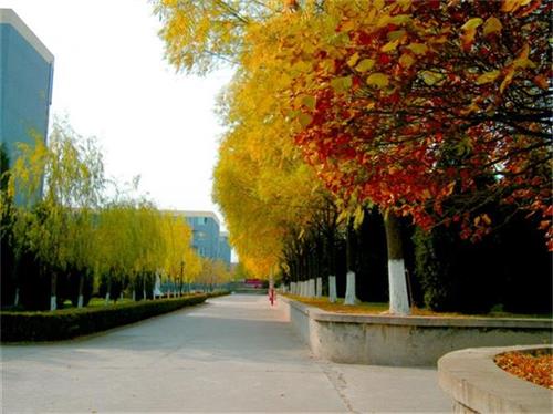 北京現(xiàn)代體育學(xué)院、航空乘務(wù)學(xué)院設(shè)施好嗎？
