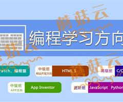 孩子為什么要盡早學習少兒編程。濟寧蘑菇云少兒編程